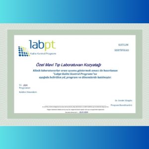 MAVİ KOZYATAĞI LABPT
