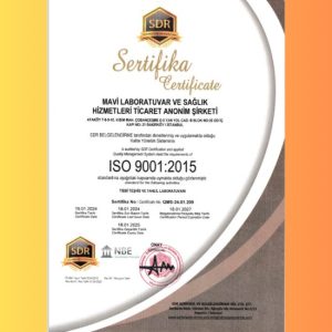 ISO 9001 : 2015