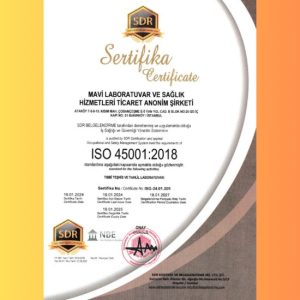 ISO 45001 : 2018