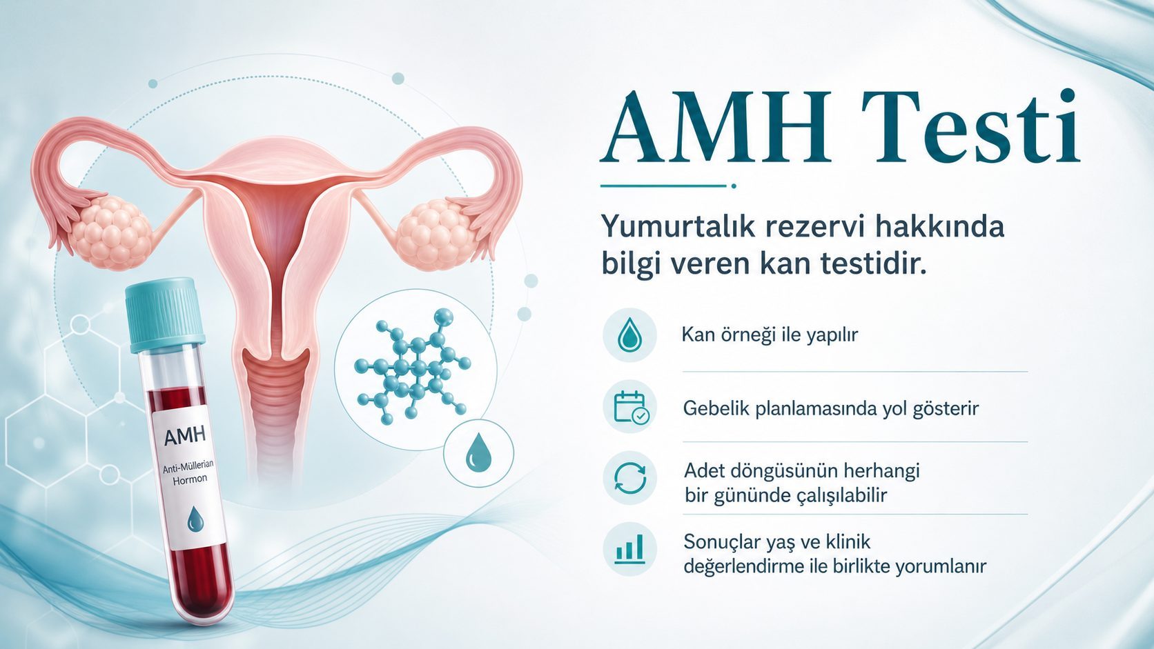 AMH Testi