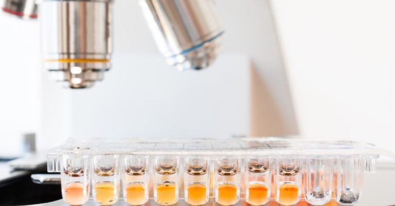 Candida Mantarı Testi