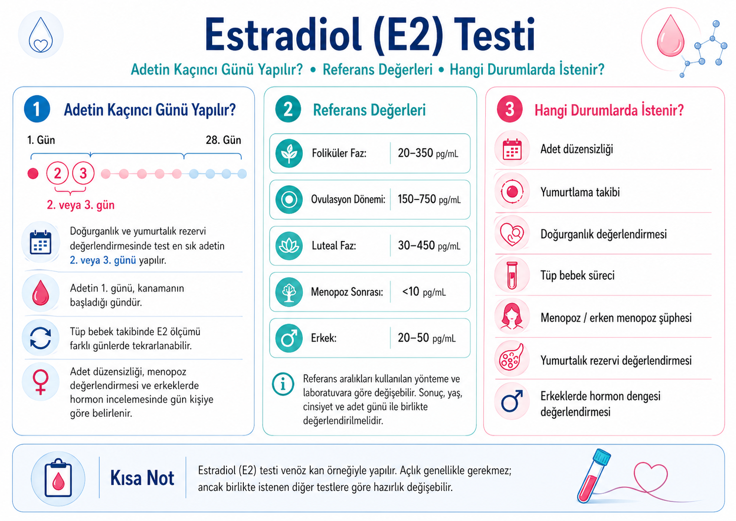 Estradiol (E2) Testi