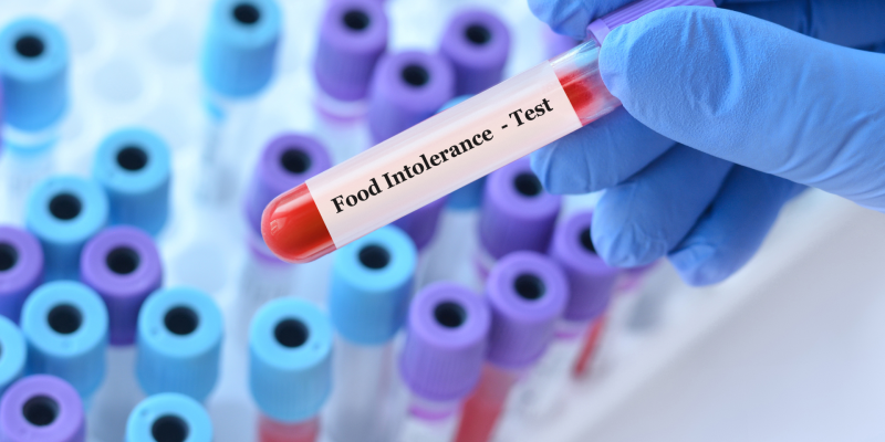 Gıda İntolerans Testi