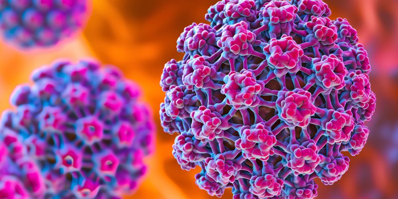 HPV Tipleri Nelerdir?