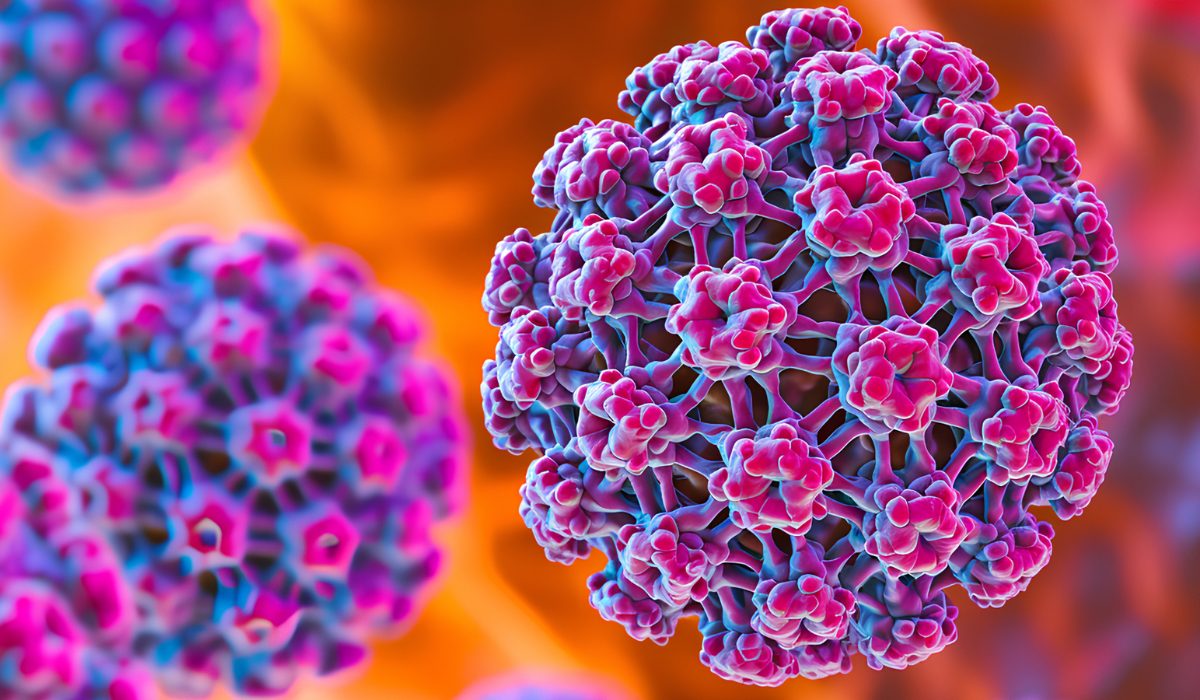 HPV Tipleri Nelerdir?