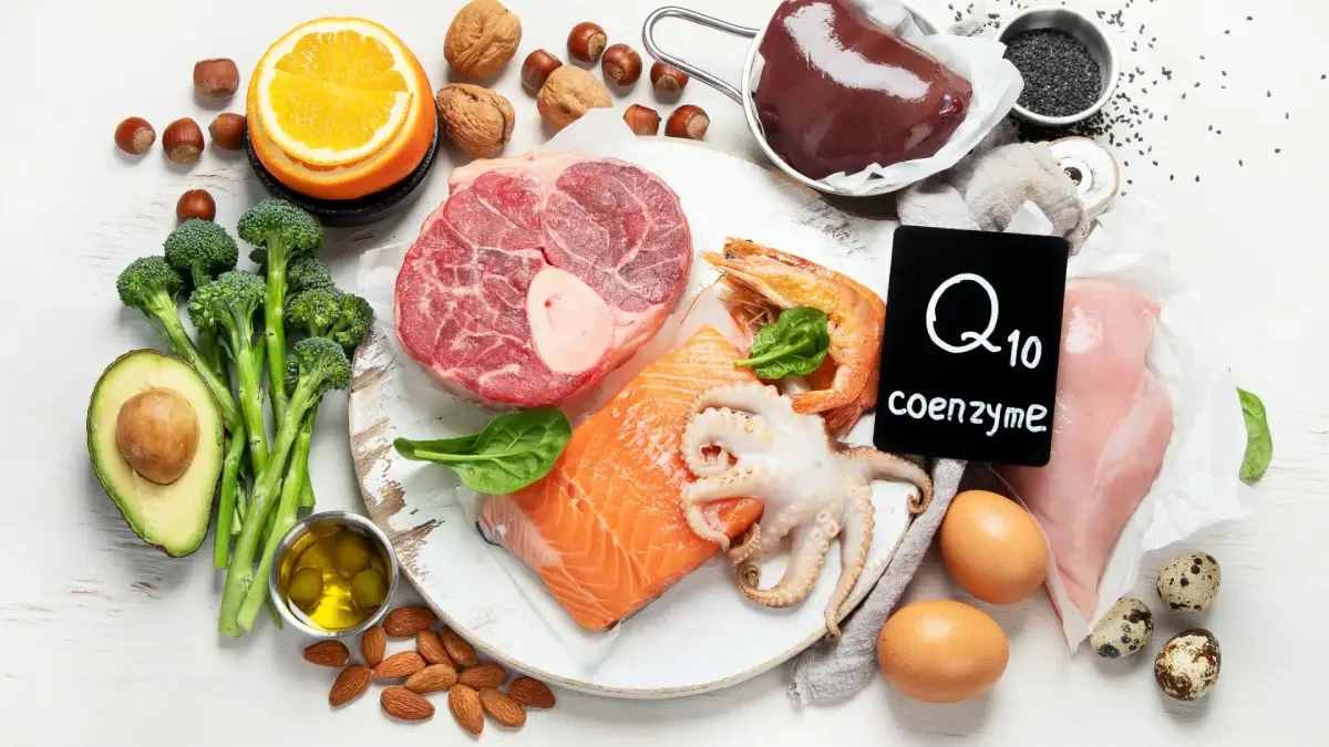 Koenzim Q10 Testi Nedir?
