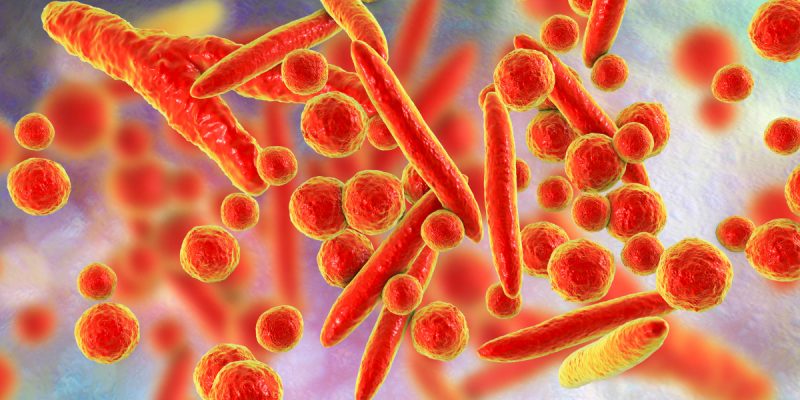 Mycoplasma Nedir?