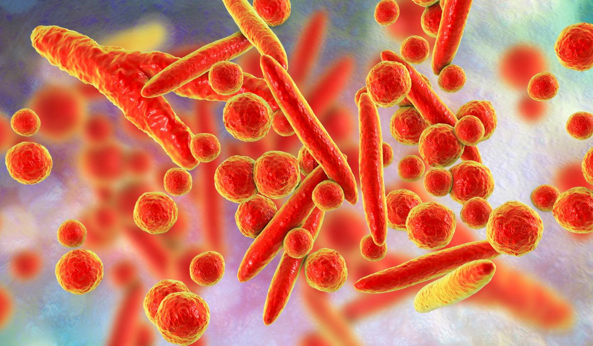 Mycoplasma Nedir?