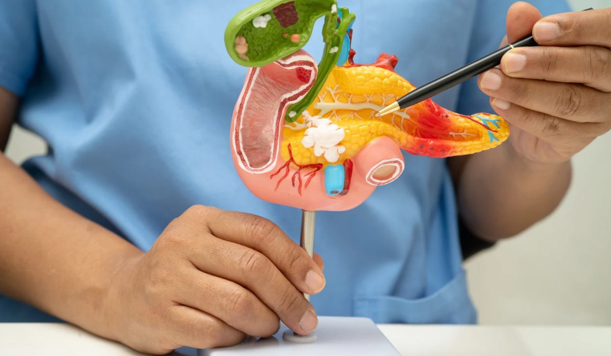 Pankreatik Fekal Elastaz Testi Nedir?