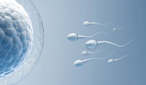 Sperm Testi Normal Değerleri