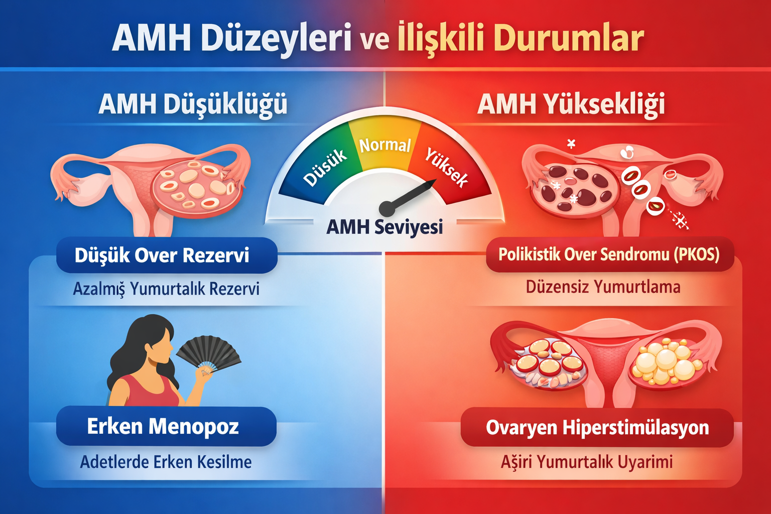 AMH (Anti-Mullerian Hormon) Testi