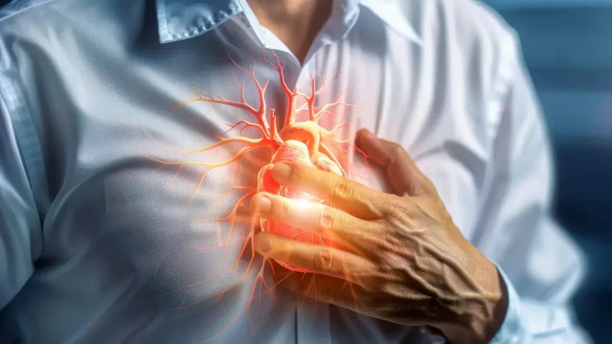 Kardiyak Risk Paneli Nedir?