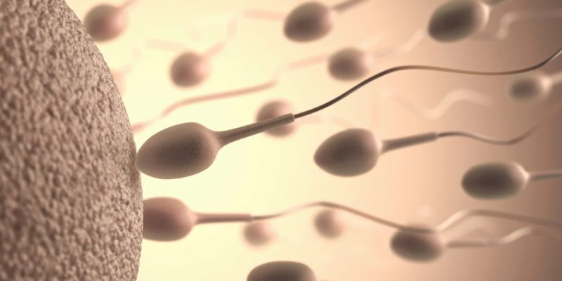 Sperm Testi (Spermiogram) Nedir?