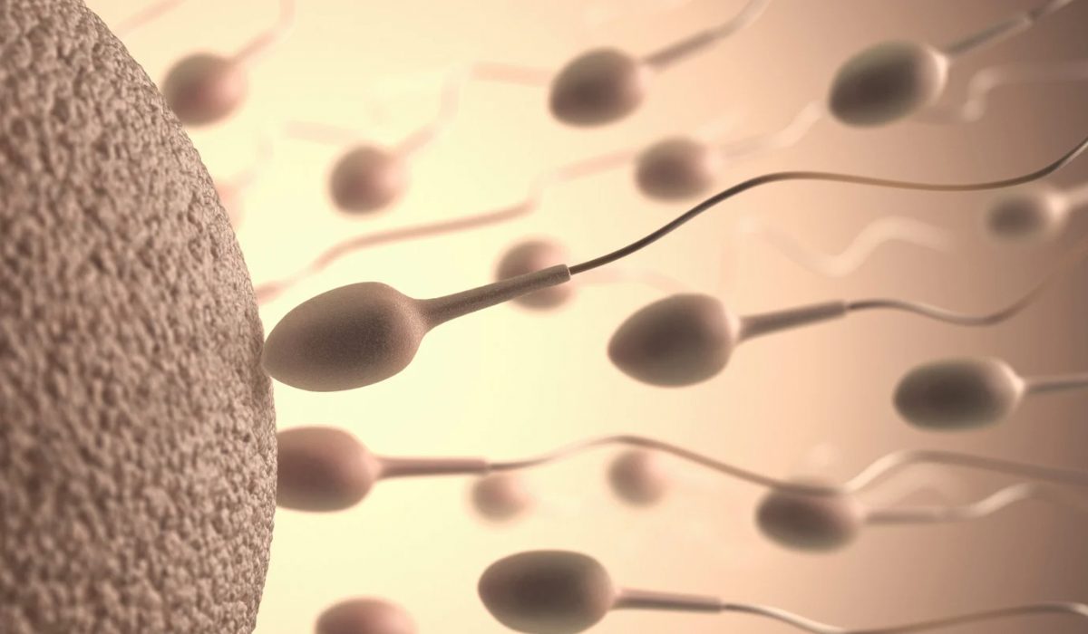Sperm Testi (Spermiogram) Nedir? Sperm Testi (Spermiogram) Nedir?