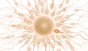 Sperm Testi Sonucu