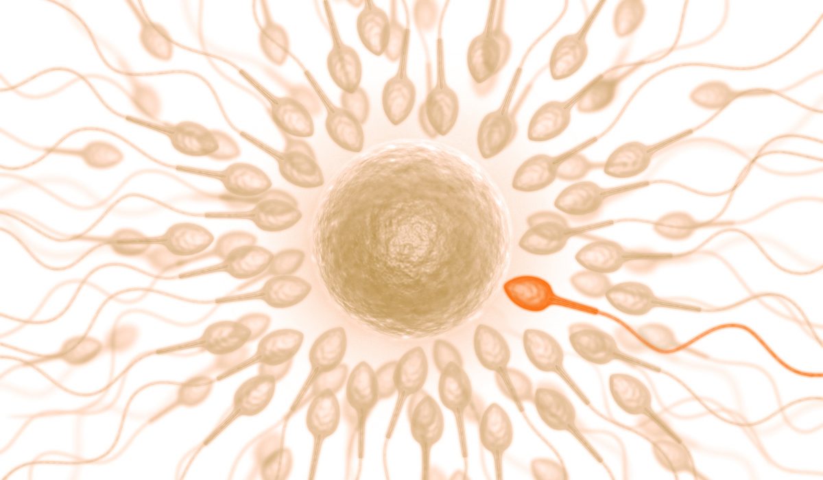 Sperm Testi Sonucu