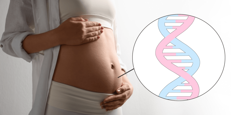 NIPT (Non-İnvaziv Prenatal Test) Nedir?