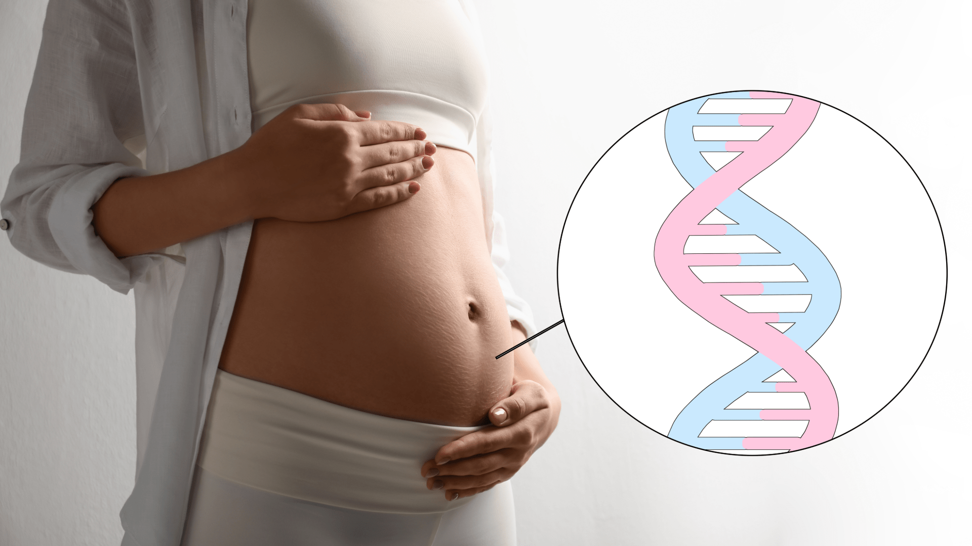 NIPT (Non-İnvaziv Prenatal Test) Nedir?