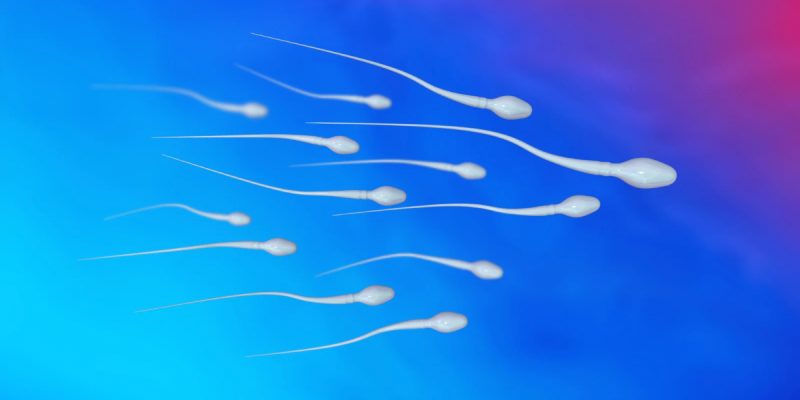 Sperm Kalitesini Nasıl Anlarız?