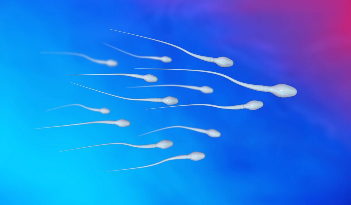 Sperm Kalitesini Nasıl Anlarız?