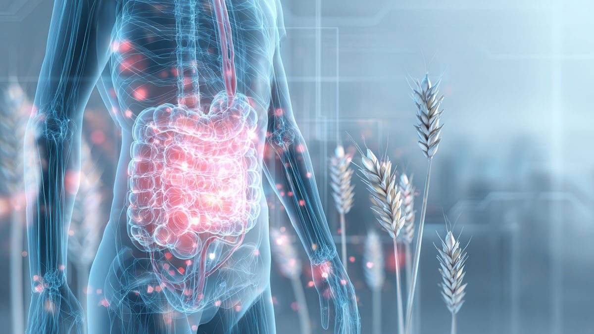 Çölyak Hastalığı Belirtileri Nelerdir?