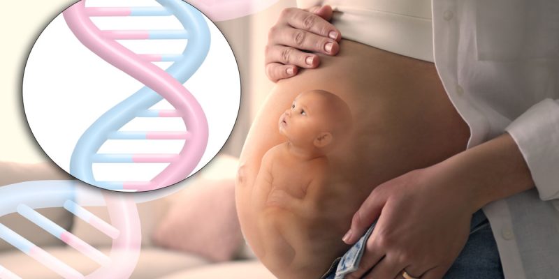 Fetal DNA Testi Nedir?