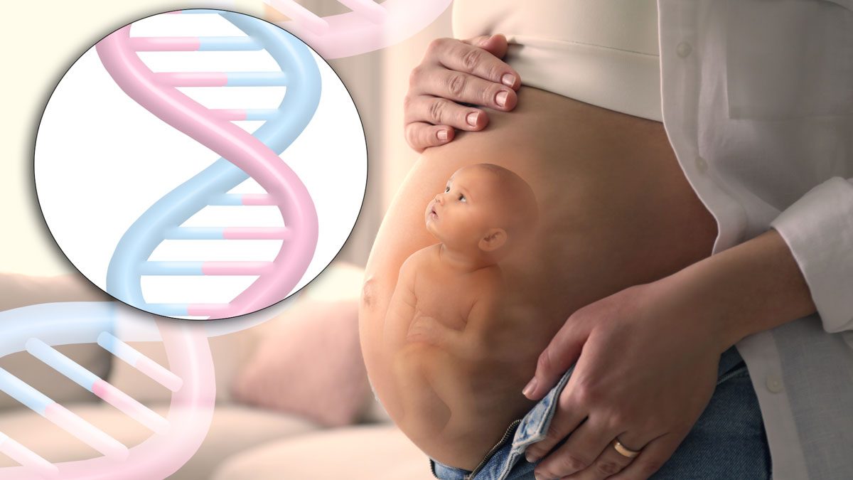 Fetal DNA Testi Nedir?