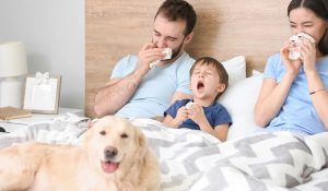 Solunum Yolu Alerjisi Belirtileri Nelerdir?