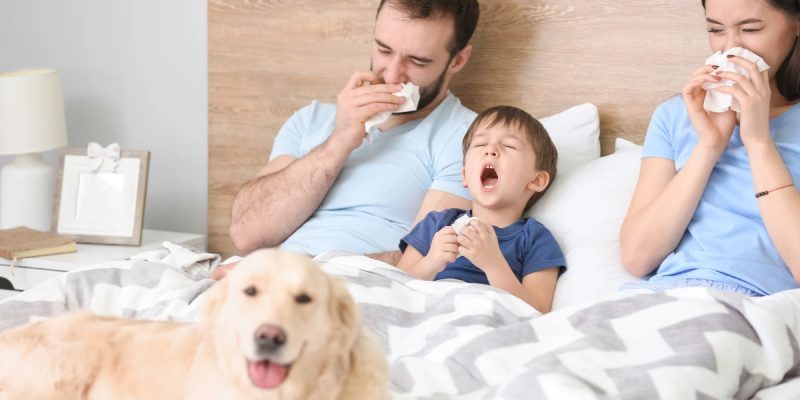 Solunum Yolu Alerjisi Belirtileri Nelerdir?