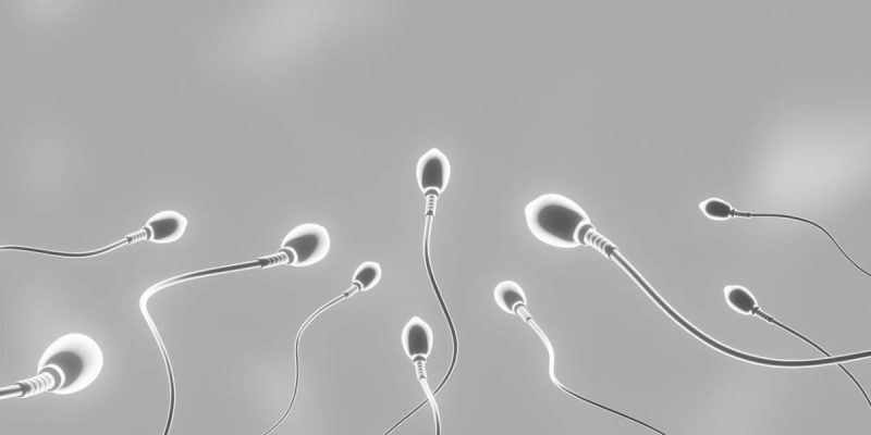Spermiogram Testinde Hangi Parametrelere Bakılır?