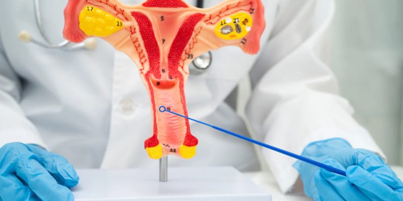 Vajina HPV Belirtileri