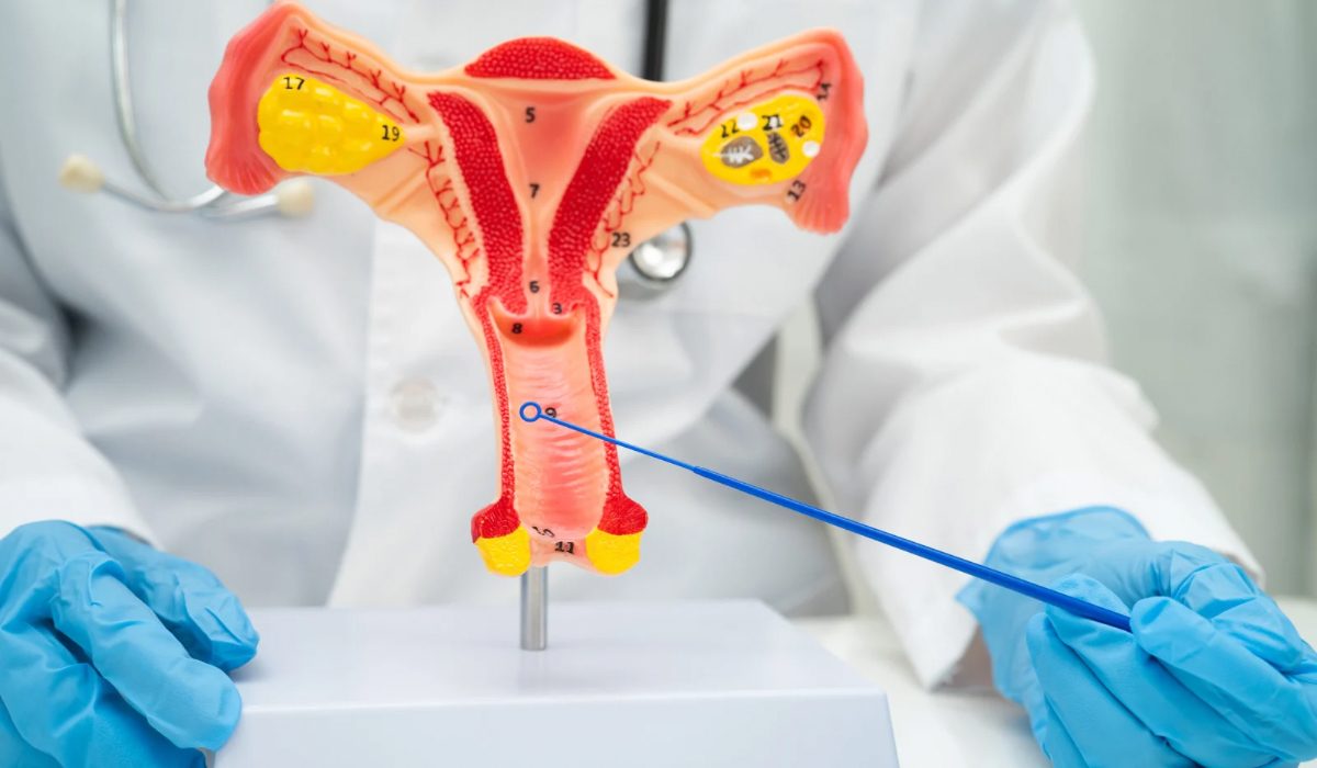 Vajina HPV Belirtileri