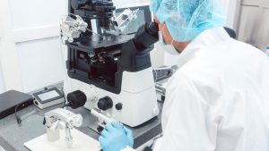 Sperm Morfoloji Bozukluğu (Teratospermi) Nedir?