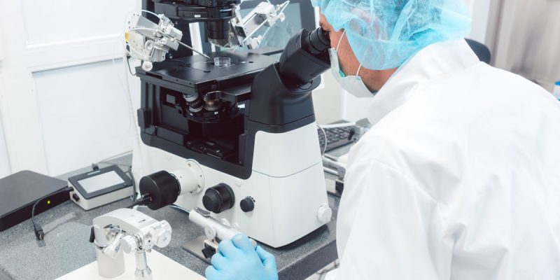 Sperm Morfoloji Bozukluğu (Teratospermi)