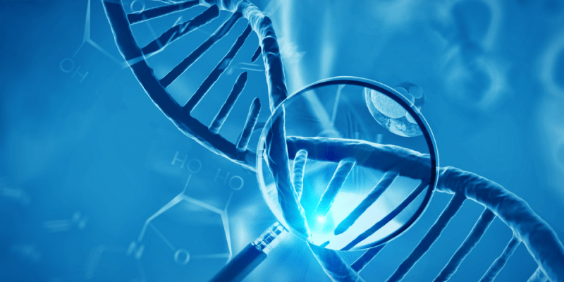 Genetik Testi Nedir?