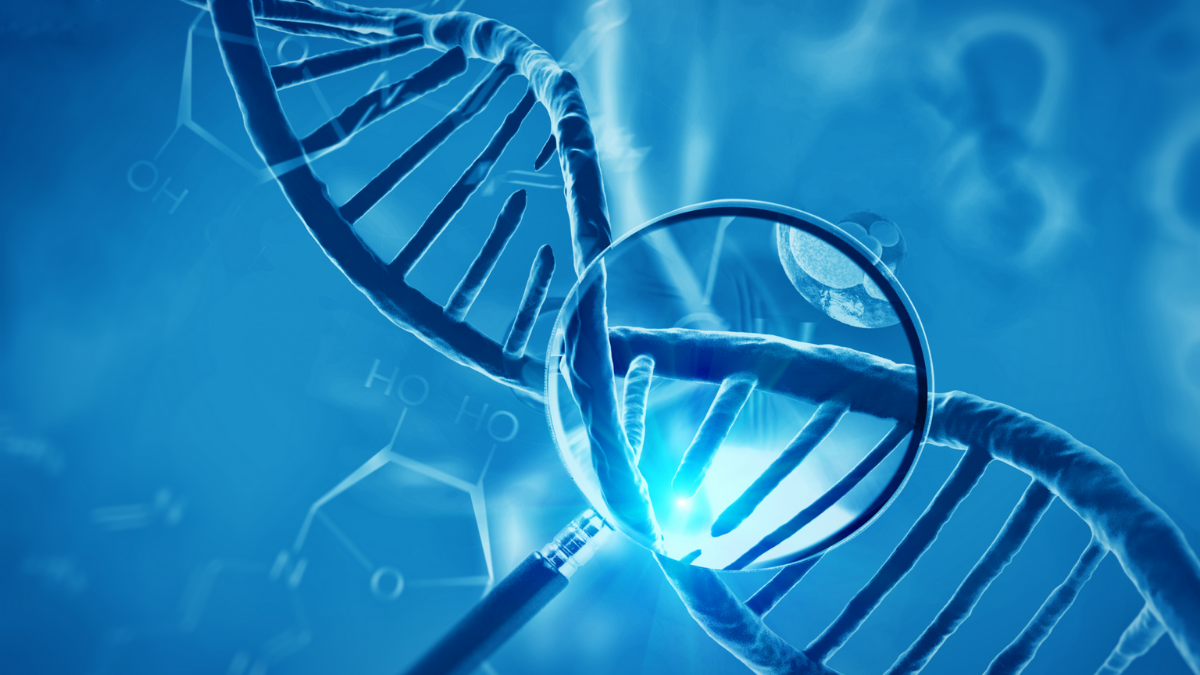 Genetik Testi Nedir?