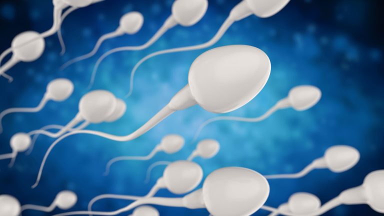 Sperm Testi Ne Zaman Yapılmalı?