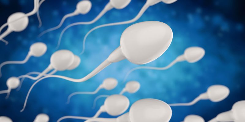 Sperm Testi Ne Zaman Yapılmalı?