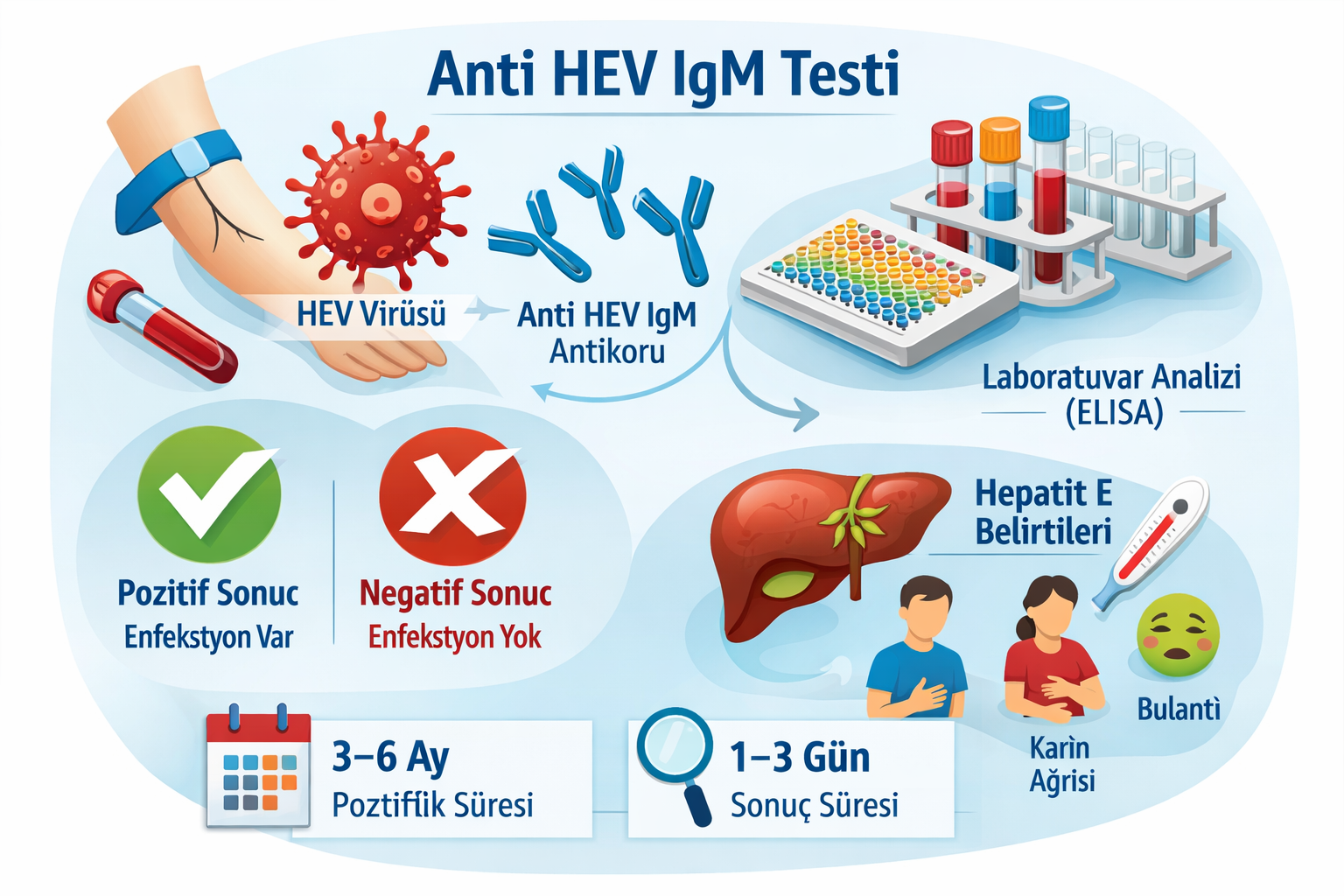 Anti HEV IgM Testi Anti HEV IgM Testi