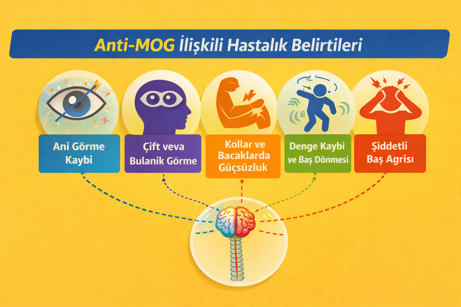 Anti-MOG Testi Anti-MOG Testi