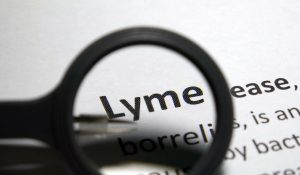 Borrelia Burgdorferi DNA PCR Testi