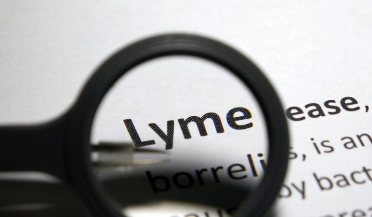 Borrelia Burgdorferi DNA PCR Testi