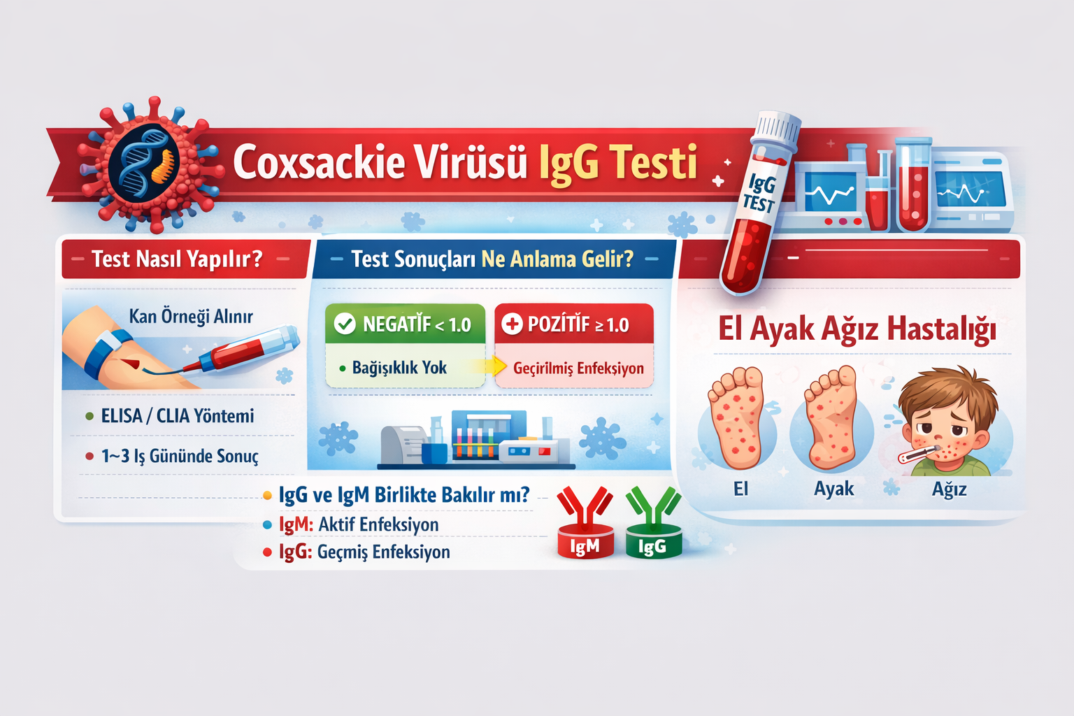 Enterovirüs (Coxsackie Virüs) IgG Testi