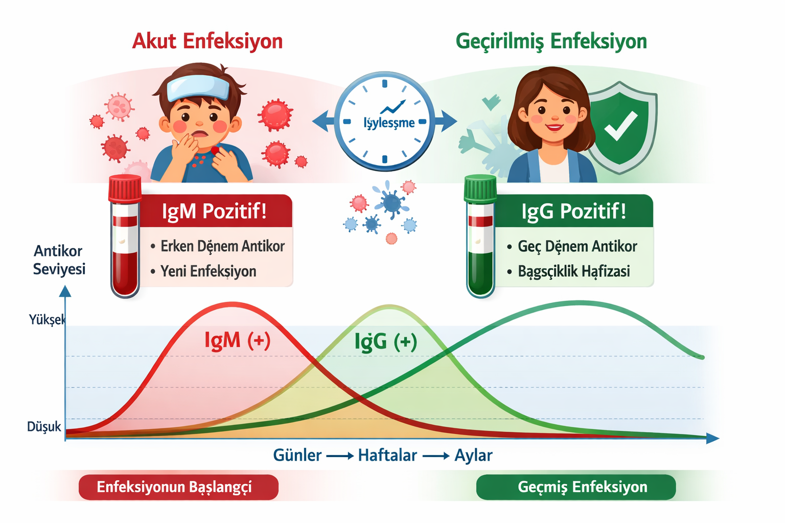 Enterovirüs (Coxsackie Virüs) IgM Testi