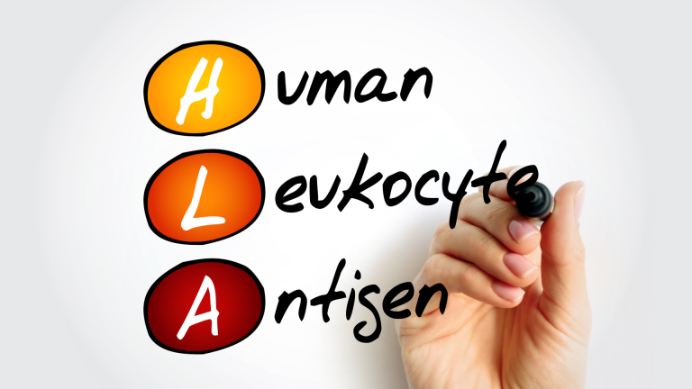 HLA-B5 Testi