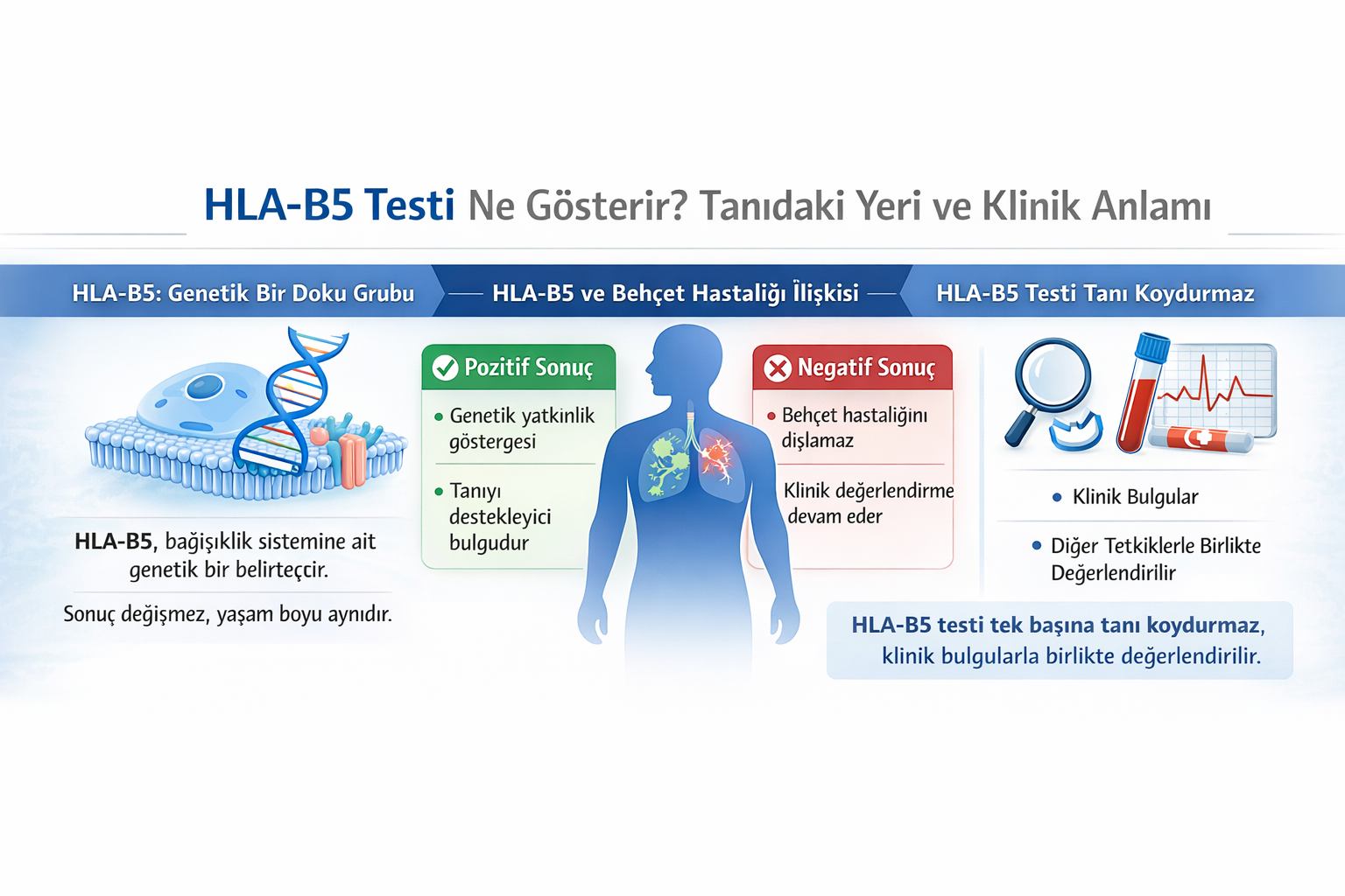 HLA-B5 Testi