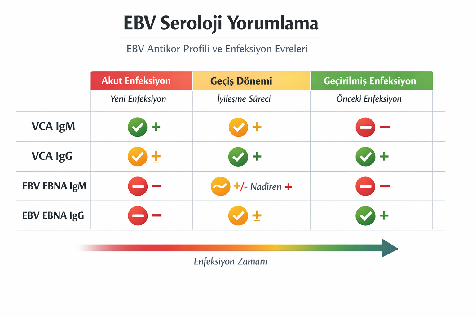 EBV EBNA IgM Testi EBV EBNA IgM Testi
