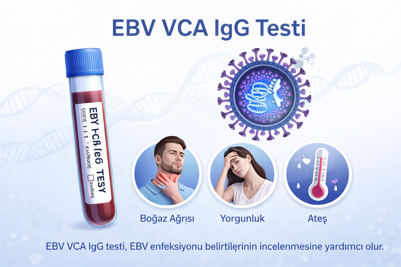 EBV VCA IgG Testi