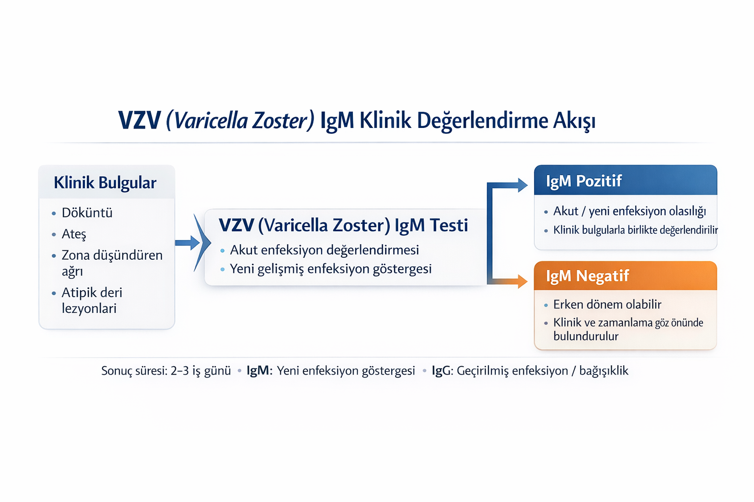 VZV (Varicella Zoster) IgM Testi