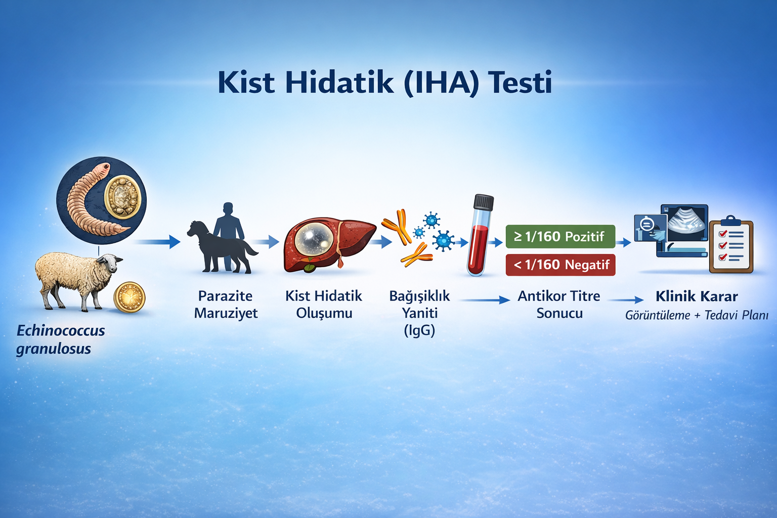 Kist Hidatik (IHA) Testi